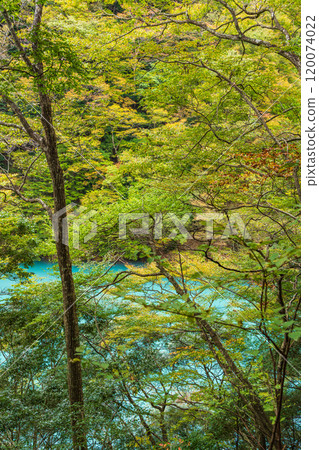 [靜岡縣]秋天的須又峽，藍色的湖面 120074022