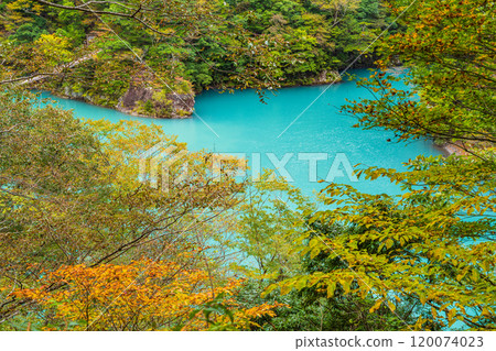 [Shizuoka Prefecture] Autumn in Sumata Gorge: The blue lake surface 120074023