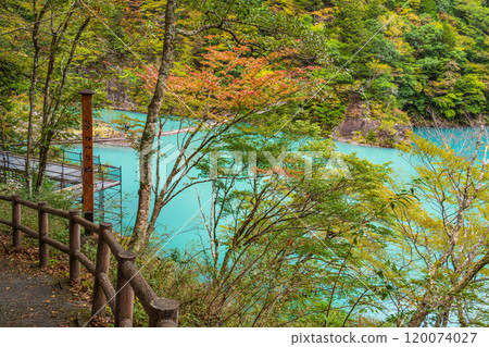 [Shizuoka Prefecture] Autumn in Sumata Gorge: The blue lake surface 120074027