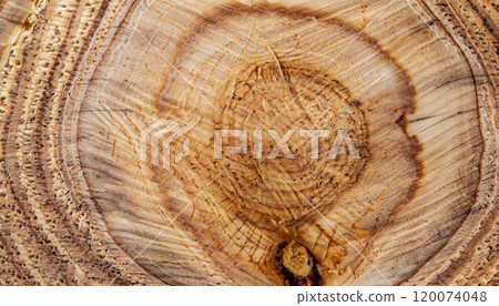 macro photo of Karelian birch round surface with wood texture macro photo of Karelian birch round surface with wood texture 120074048