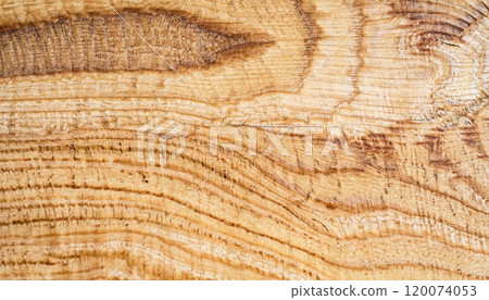 macro photo of poplar board surface with wood texture 120074053