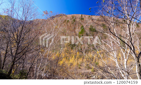 長野縣上高地、松本市和奧穗高的深秋紅葉,有輕微的積雪 長野縣上高地、松本市和奧穗高的深秋紅葉,有輕微的積雪 120074159