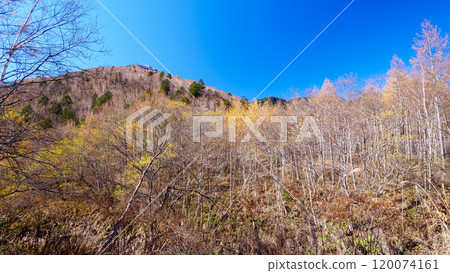 長野縣上高地、松本市和奧穗高的深秋紅葉,有輕微的積雪 長野縣上高地、松本市和奧穗高的深秋紅葉,有輕微的積雪 120074161
