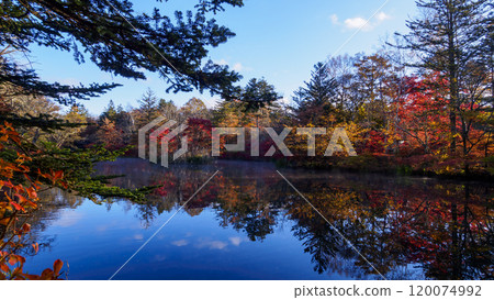 長野縣北作郡輕井澤町的紅葉名勝雲場池 120074992