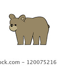 Bear Standing 120075216