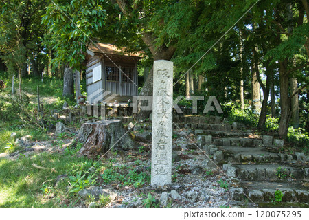 志岳舊戰場 志岳舊戰場 120075295