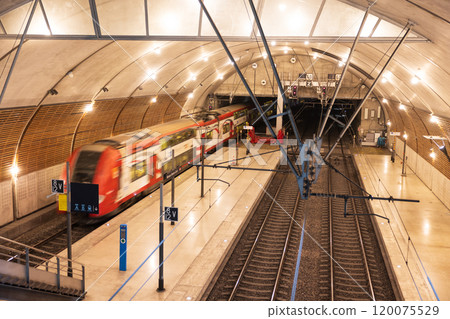 Monaco Station and Train 120075529