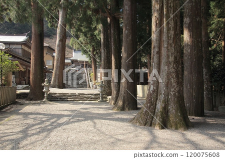 四國聖地第12號寺「燒山寺」境內 120075608