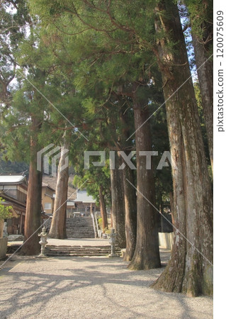 四國聖地第12號寺「燒山寺」境內 120075609