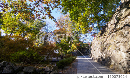 Autumn leaves at Kaikoen Garden in Komoro City 120075624
