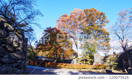 小諸市懷古園的秋葉 120075626