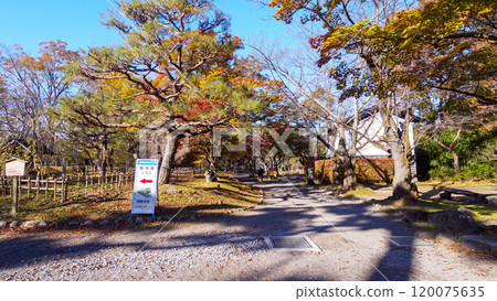 小諸市懷古園的秋葉 120075635