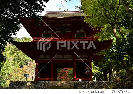 Komyo-ji Temple Niomon Gate in autumn Komyo-ji Temple Niomon Gate in autumn 120075722