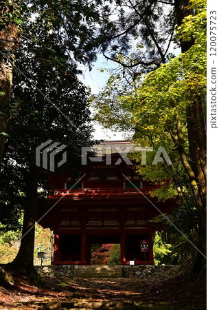 Komyo-ji Temple Niomon Gate in autumn Komyo-ji Temple Niomon Gate in autumn 120075723
