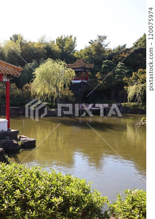 神奈川縣川崎市大師公園蛇居園 神奈川縣川崎市大師公園蛇居園 120075974