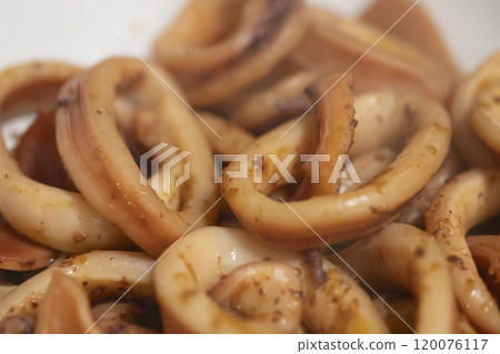 Image of fried squid (stock photo) Image of fried squid (stock photo) 120076117