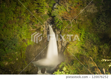[Shizuoka Prefecture] Illumination of Akamizu Falls in the Umeshima area of Okusu 120076252