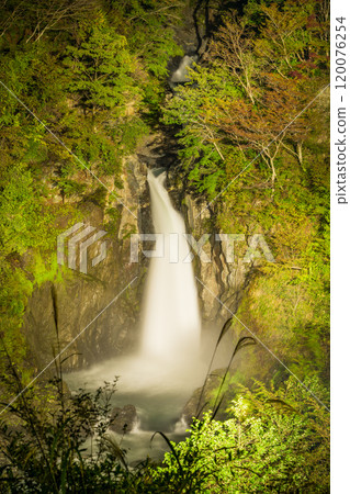 [靜岡縣] Oxyz/梅島地區的赤水瀑布亮燈 120076254