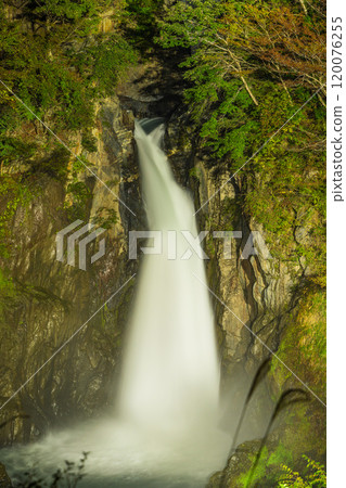[靜岡縣] Oxyz/梅島地區的赤水瀑布亮燈 120076255