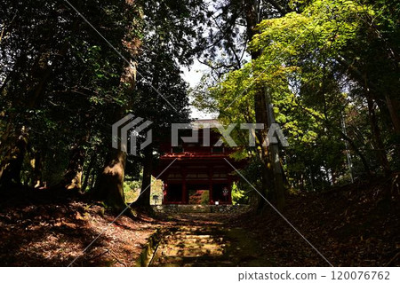 Komyo-ji Temple Niomon Gate in autumn 120076762