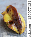 Rotten starfruit that fell to the ground 120077121