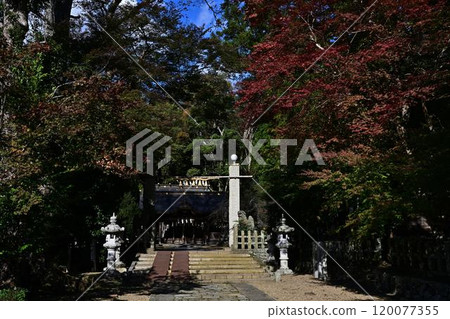 Hyōshu Shrine in Autumn Hyōshu Shrine in Autumn 120077355