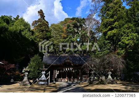 Hyōshu Shrine in Autumn 120077365