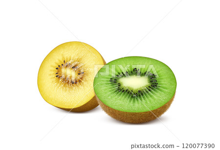 Kiwi fruit illustration Gold kiwi 120077390