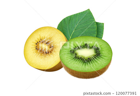 獼猴桃水果插畫金獼猴桃 120077391