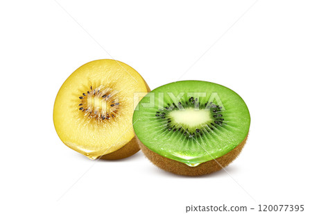獼猴桃水果插畫金獼猴桃 120077395