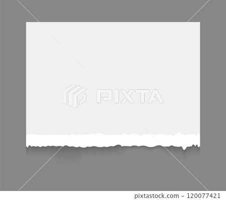 White torn or ripped paper sheet. Scrapbook edge, notebook tear or blank page split vector illustration. White torn or ripped paper sheet. Scrapbook edge, notebook tear or blank page split vector illustration. 120077421