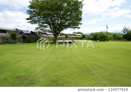 Beautiful lawn space scenery Beautiful lawn space scenery 120077929