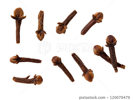 Set of whole organic clove buds cutout. 120078479