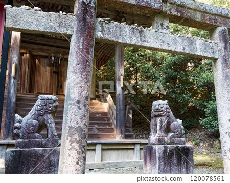 Komainu at the shrine 120078561