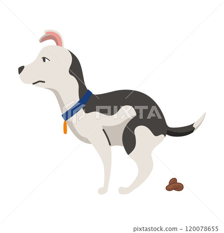 Dog poo clean up, one step infographic. Vector poster about hygiene animal, toilet cleaning information after your dog, one step 120078655