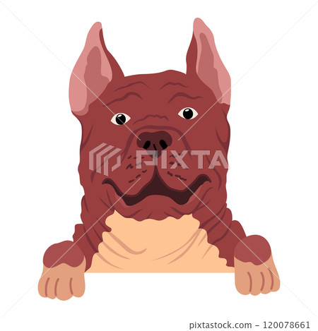 Dog hanging on border. Portrait of muzzles with paws. Front view. Flat vector design 120078661