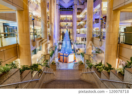 聖誕樹 聖誕樹 120078718