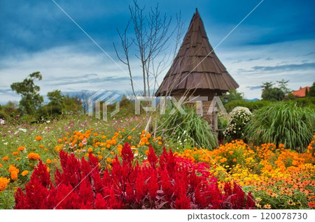 Autumn garden and cute hut 120078730