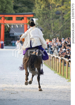 Aoi Festival 2023 Aoi Festival 2023 120078773