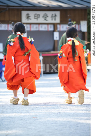 Aoi Festival 2023 120078785
