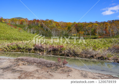 A puddle next to Oyunuma in Niseko Yumoto Onsen? (Ranko Town) 120078939