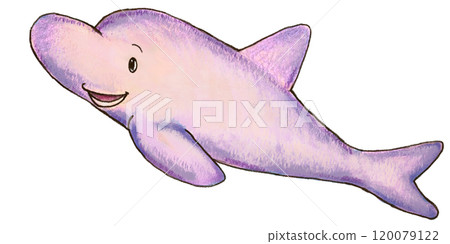 看起來像繪本裡的海豚 看起來像繪本裡的海豚 120079122