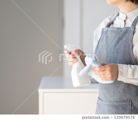 Clean with disinfectant spray 120079578