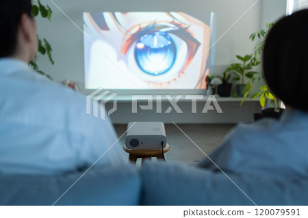 Projection with a projector 120079591