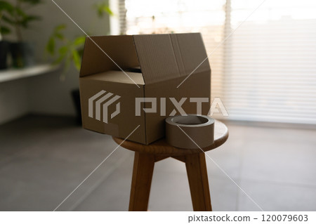 Cardboard box  120079603