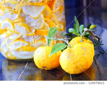 Homemade Yuzu Syrup Homemade Yuzu Syrup 120079622