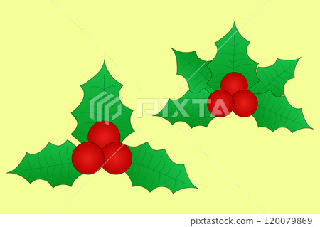 Holly Leaves and Berries for Christmas Decor 120079869