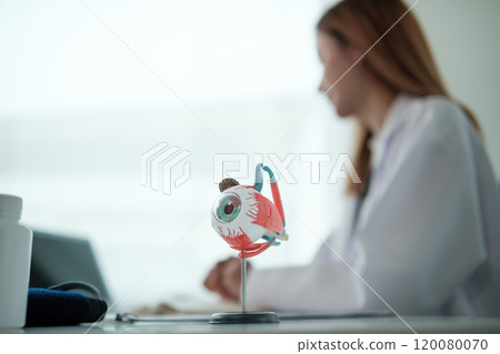 A woman is sitting at a desk with a model of an eye on it 120080070