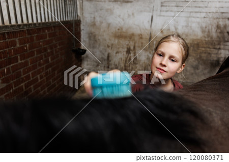 Young little teenager kid girl cleaning grooming chestnut horse back hair brush tool horse at stable ranch. Horse ride school farm life. Cute little blond girl kid care brown horse. Equine hobby work Young little teenager kid girl cleaning grooming chestnut horse back hair brush tool horse at stable ranch. Horse ride school farm life. Cute little blond girl kid care brown horse. Equine hobby work 120080371