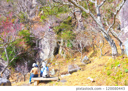 Kanto, Yugawara Plum Grove, tourists watching rock climbing on Makuiwa Rock, Yugawara Town, Kanagawa Prefecture (2) Kanto, Yugawara Plum Grove, tourists watching rock climbing on Makuiwa Rock, Yugawara Town, Kanagawa Prefecture (2) 120080443